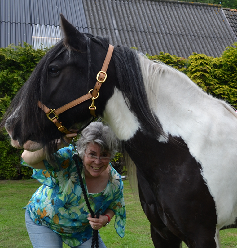 Sylvia Klumper (Senior Mediator en Personal Coach)